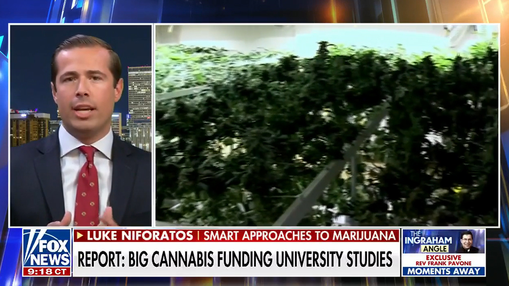 ‘Big cannabis’ is pumping out fake research on the benefits of the drug: Luke Niforatos