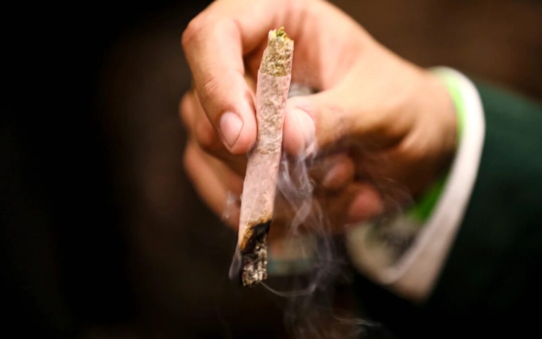 Voters Rejected Marijuana Legalization in Yet Another State. Is the Movement in Trouble?